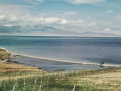 银河证券：禽流感下种源紧张或持续 静待养殖链下游拐点到来