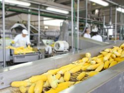 史密斯菲尔德食品公司(SFD.US)计划发行3480万股 公司总市值或将达107亿美元