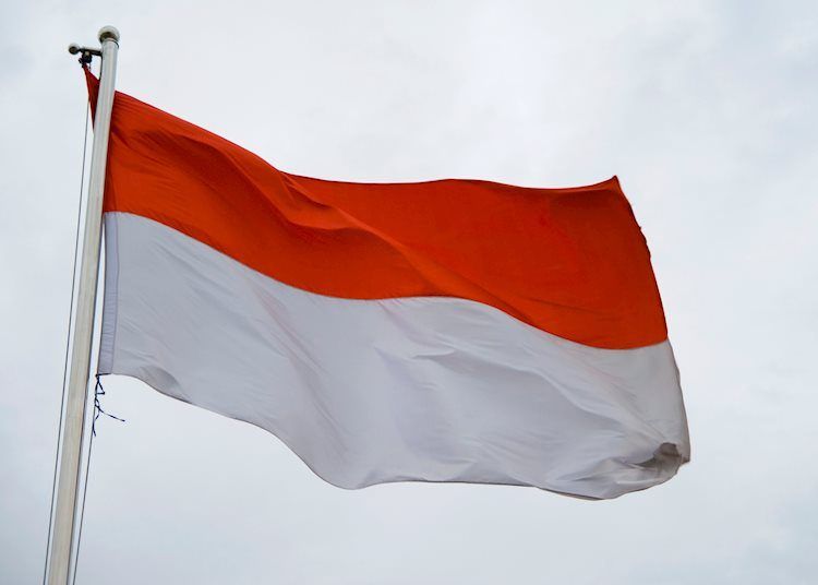 Pemerintah Indonesia Berlakukan PPN 12% Mulai 1 Januari 2025, Bisa Semakin Menekan Daya Beli Masyarakat