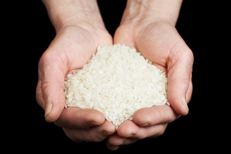 UE Menurunkan Estimasi Produksi Jagung dan Gandum – ING