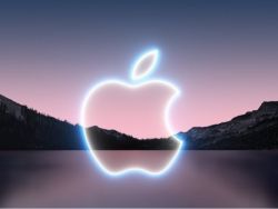 美股异动 | 苹果(AAPL.US)跌逾8% 花旗：新关税或使苹果毛利率遭受9%的冲击