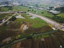 小摩：市场共识增加了在中国、墨西哥、南非投资敞口