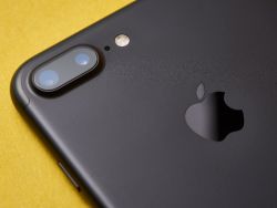 美国暂免电子产品关税 华尔街分析师发声：利好苹果(AAPL.US)