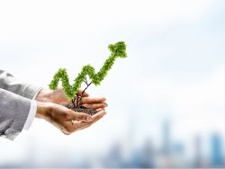 帝王实业控股(01950)股东将股票存入香港上海汇丰银行 存仓市值1109.76万港元